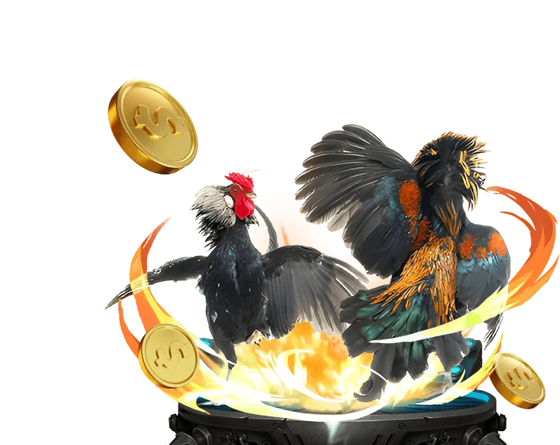 Cookie hiệu suất